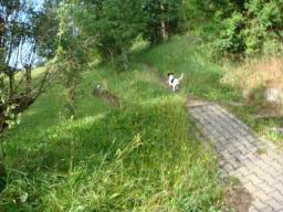 Resize of DSC00530.JPG